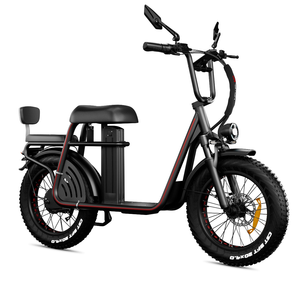 E20 black ebike 1000 watt with fat tire, LCD display, headlight