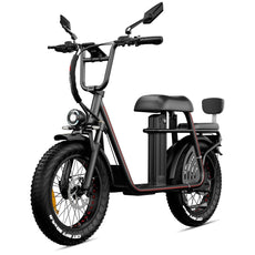 ET 20 48v 1000w electric bicycle-Black frame, black fat tire, with hydraulic disc brakes, headlight, LCD display and Samsung battery