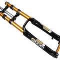  Black and Gold