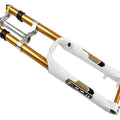  White and Gold