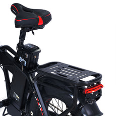 electric bike 1000 watt