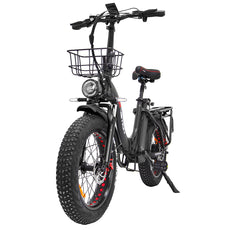fat bike e bike