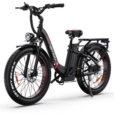 bike 1000w