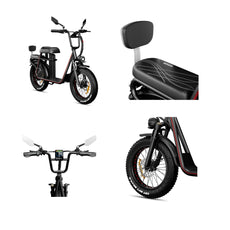 ET20 electric bicycle 1000 watt -show the details of back seat, large screen LCD display, rear wheel