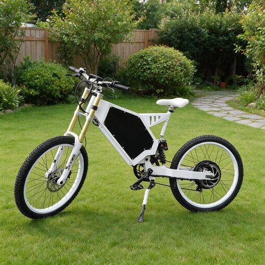 stealth bomber ebike 3000W park on the grass of a courtyard