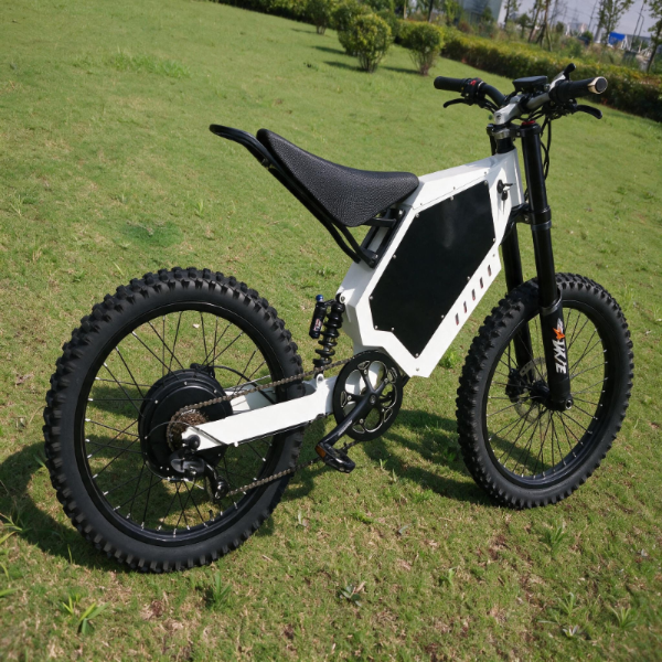 motorcycle wheel 72v 3000w stealth bomber bike with motorcycle style seat, white frame on grass