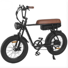 fat tire beach cruiser