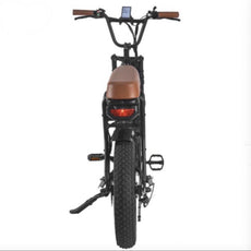 fat tire beach cruiser