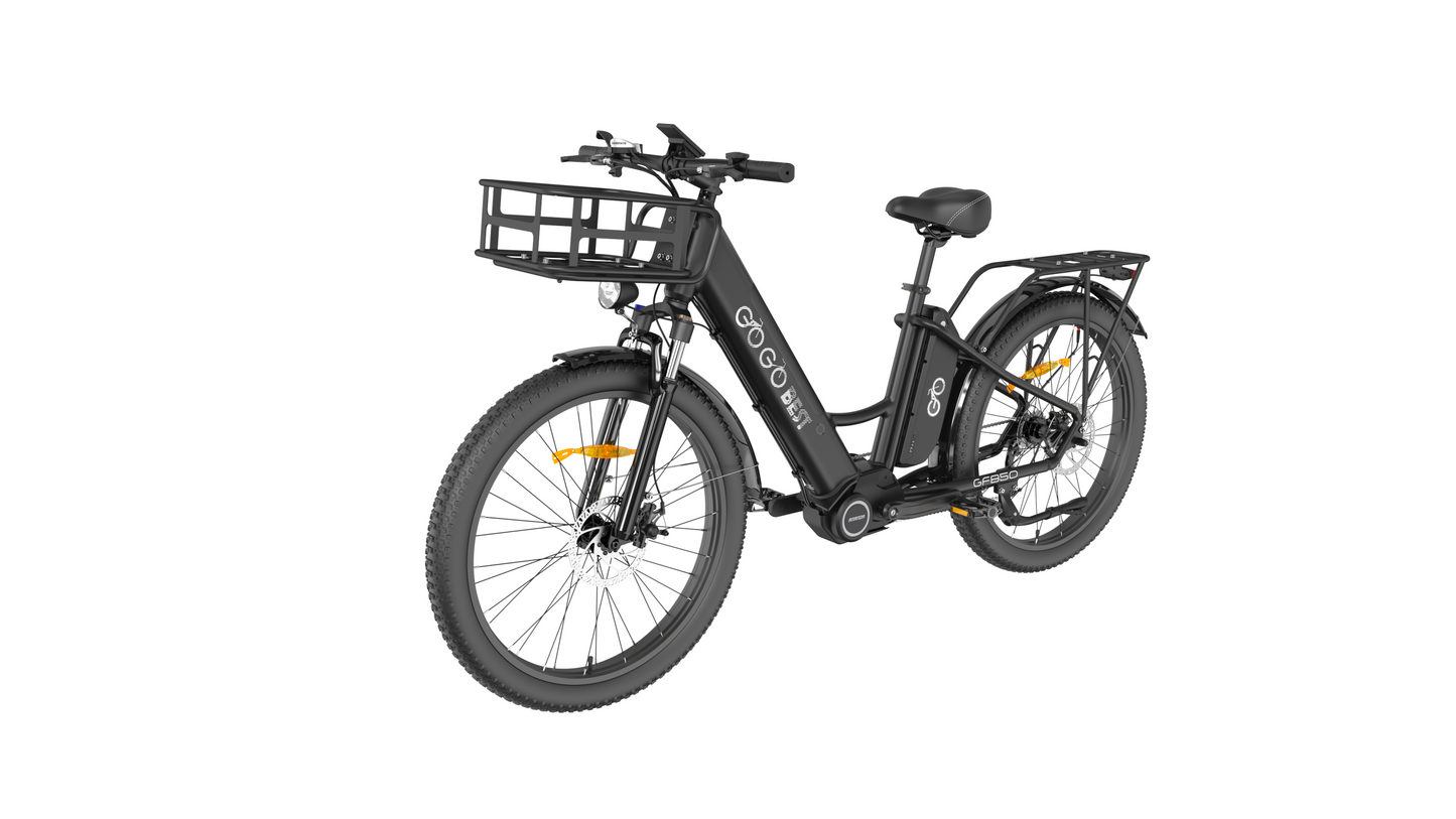 dual battery electric bike