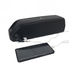 hailong battery 48v