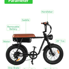 1000W electric mountain bike for adults