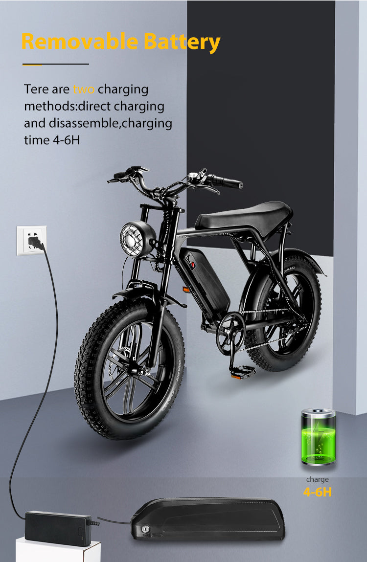 fat electric mountain bike