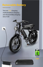 fat electric mountain bike