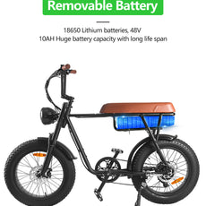 fat tire electric bike 750 watt 