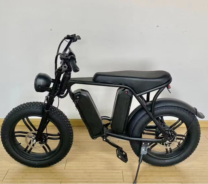 V8-48V750W/1000W Motor 12.5A/15A Battery Powered 20" x 4.0 Off Road Tire Electric Mountain Bike 50km/h 45KM Mileage