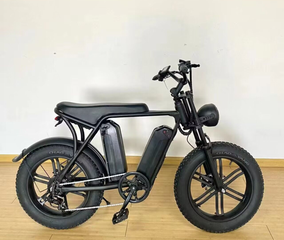 V8-48V750W/1000W Motor 12.5A/15A Battery Powered 20" x 4.0 Off Road Tire Electric Mountain Bike 50km/h 45KM Mileage