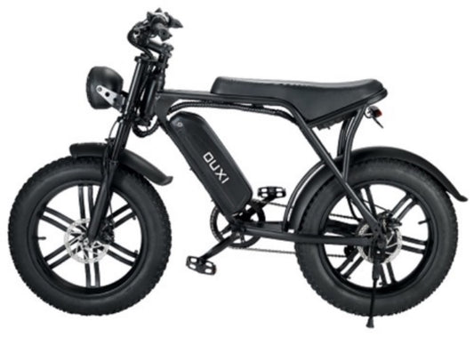 48 volt 1000 watt electric bike