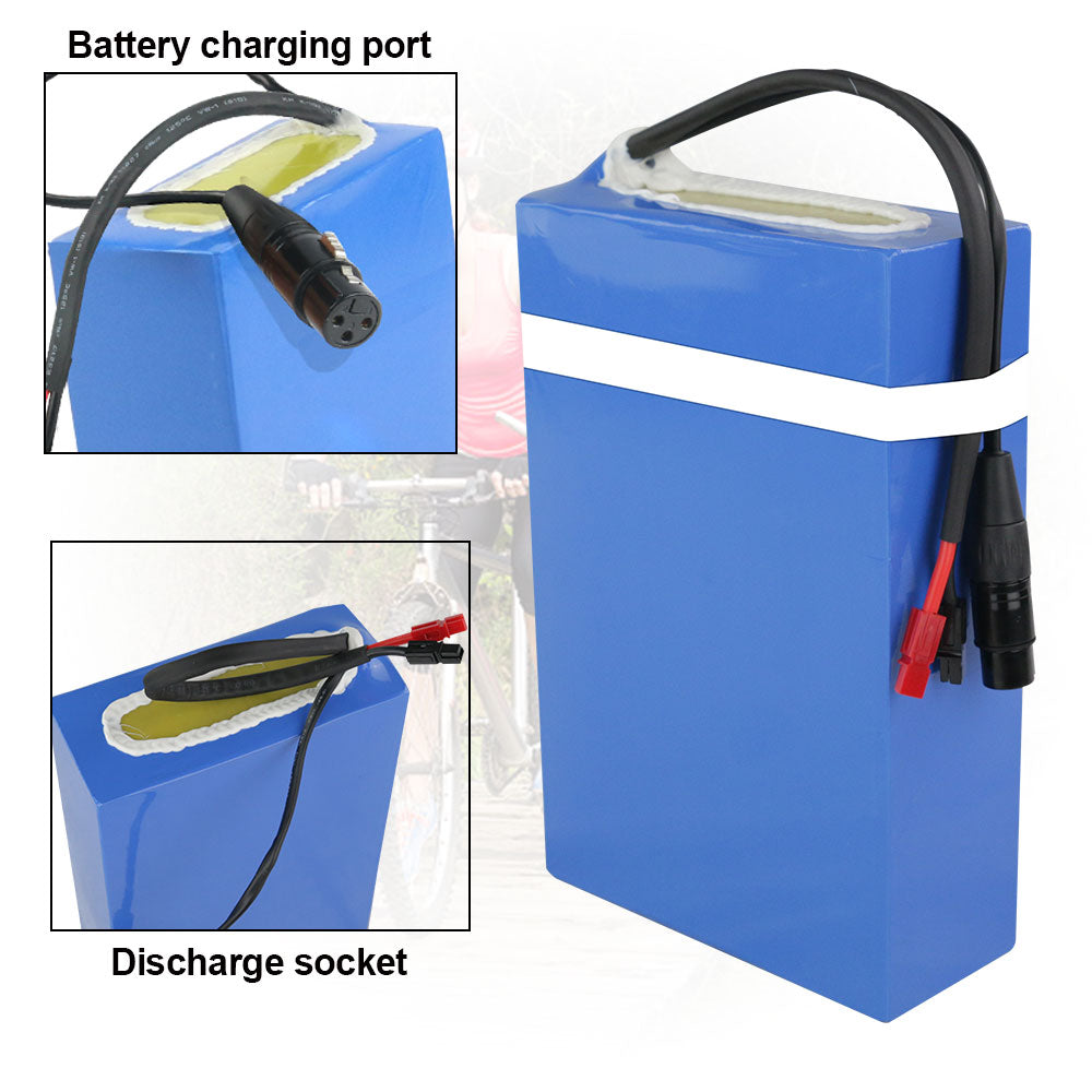 48v lithium ion battery ebike